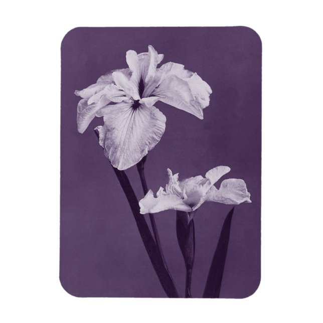 Magnet Flexible Iris Fine Art (Vertical)