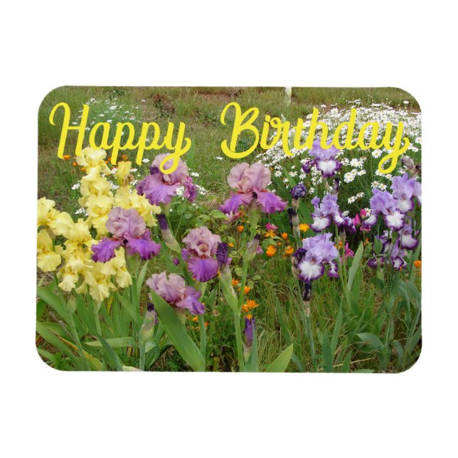 Magnet Flexible Iris iris fleurs fleuris Cottage Jardin (Horizontal)