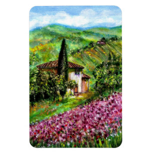 MAGNET FLEXIBLE IRISES EN TOSCANE