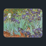 Magnet Flexible Irises par Vincent van Gogh<br><div class="desc">Irises (1889) de Van Gogh est un post impressionnisme vintage de peinture de nature fleurie d'art. Un groupe d'iris à barbe violet et une seule fleur d'iris blanc poussent dans un jardin. C'était l'une de ses premières peintures alors qu'il était à l'asile à Saint-Rémy-de-Provence. En 1987, il est devenu le...</div>