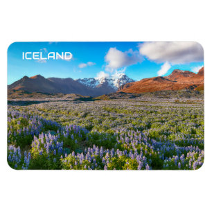 Magnet Flexible Islande