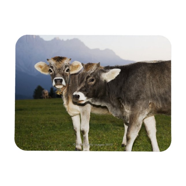 Magnet Flexible Italie, Alto Adige (Horizontal)