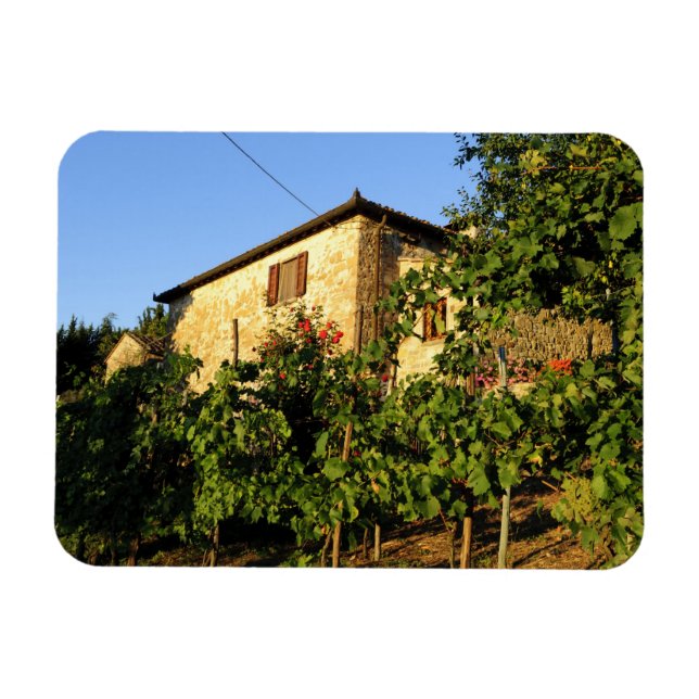 Magnet Flexible Italie, Toscane, Greve. Scènes de vin fin d'été (Horizontal)