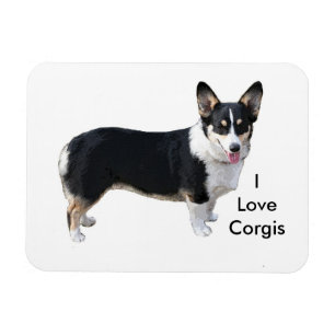 Magnet Flexible J'aime l'aimant corgis