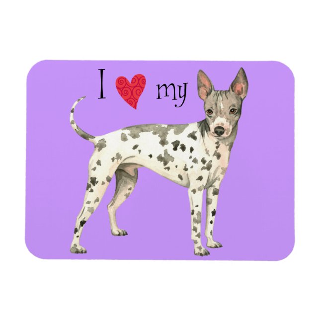 Magnet Flexible J'aime mon American Hairless Terrier (Horizontal)