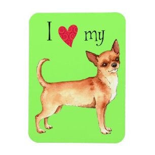 Magnet Flexible J'aime mon Chihuahua