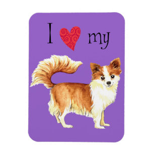Magnet Flexible J'aime mon long manteau Chihuahua