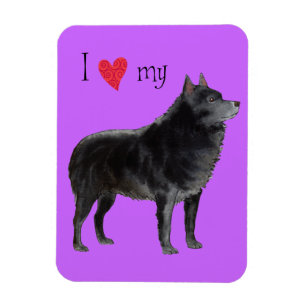 Magnet Flexible J'aime mon Schipperke