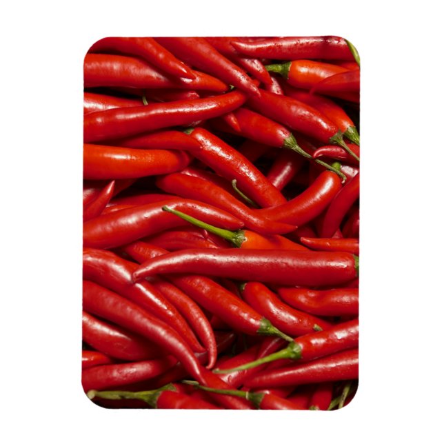 Magnet Flexible Jalapenos (Vertical)
