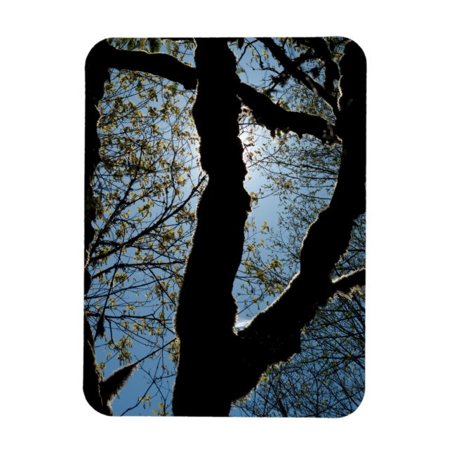MAGNET FLEXIBLE JAMAIS (Vertical)