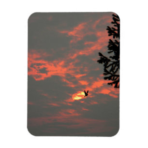 Magnet Flexible Jamais plus le corbeau...
