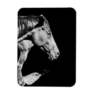 Magnet Flexible jambe de cheval