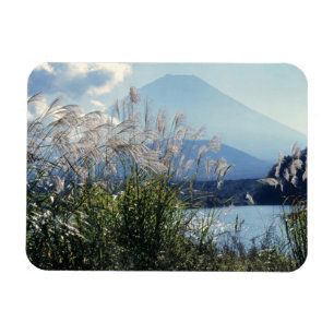 Magnet Flexible Japon, Honshu, préfecture de Yamanashi, Fuji-Hakon