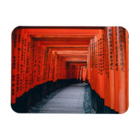 Japon - Photographie de voyage