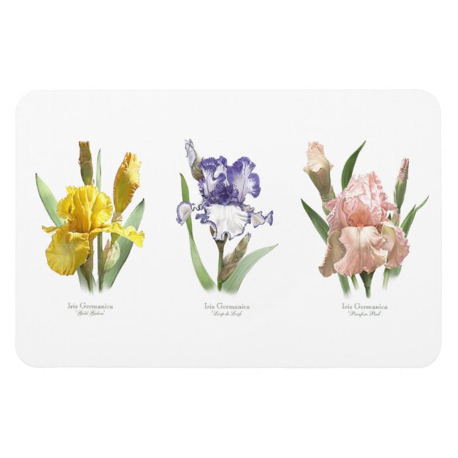 Magnet Flexible Jardin de fleurs d'iris (Horizontal)