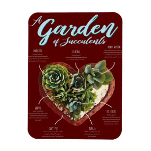 Magnet Flexible Jardin De Succulents