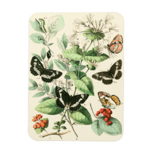 Magnet Flexible Jardin des papillons et des fleurs