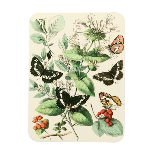 Magnet Flexible Jardin des papillons et des fleurs (Vertical)