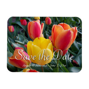 Magnet Flexible Jardin des Tulipes Jaunes et Rouges Photo Enregist