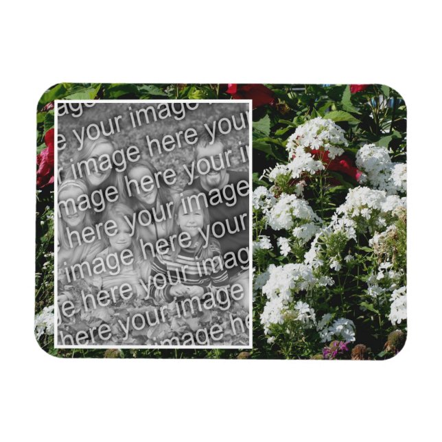 Magnet Flexible Jardin Fleur White Phlox Ajouter Votre Photo (Horizontal)