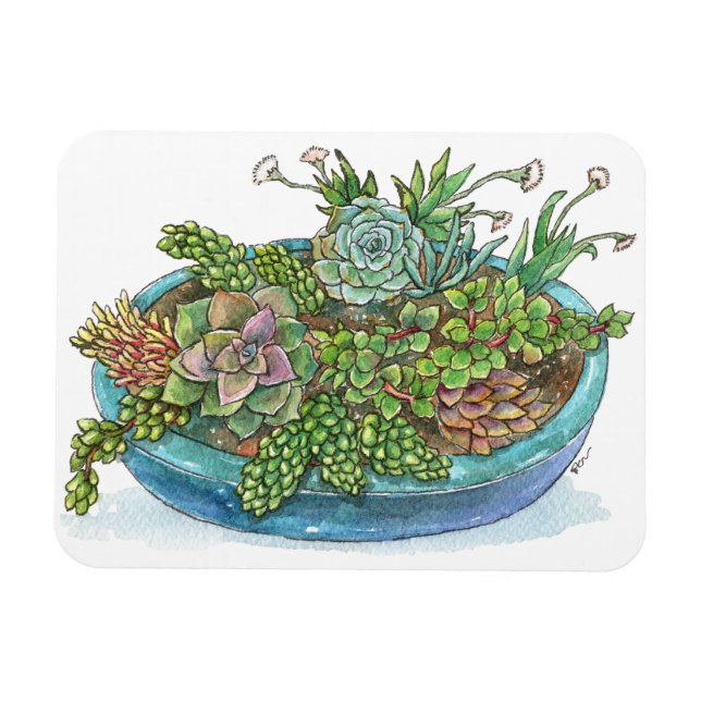 Magnet Flexible Jardin rond Succulent (Horizontal)