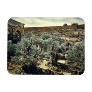 Magnet Flexible Jardin vintage de Gethsemane Jérusalem Israël