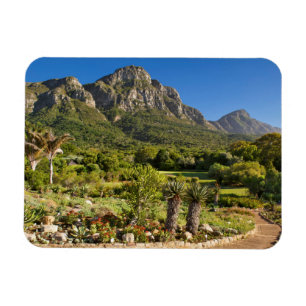 Magnet Flexible Jardins botaniques de Kirstenbosch, Le Cap
