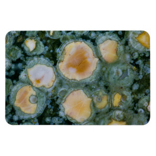 Magnet Flexible Jasper de l'océan