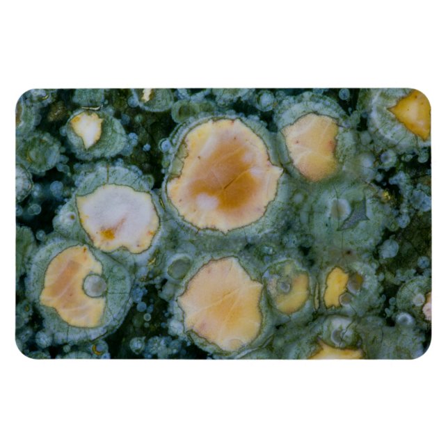 Magnet Flexible Jasper océan tacheté (Horizontal)