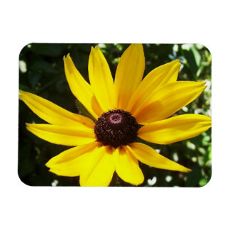 Magnet Flexible Jaune