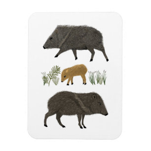 Magnet Flexible Javelina Family Portrait Animaux du désert