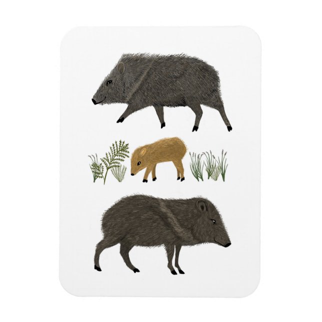Magnet Flexible Javelina Family Portrait Animaux du désert (Vertical)