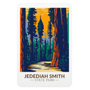 Magnet Flexible Jedediah Smith Redwoods State Park Californie