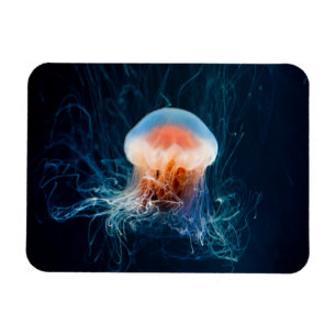 Magnet Flexible Jellyfish Underwater - Dark Glow