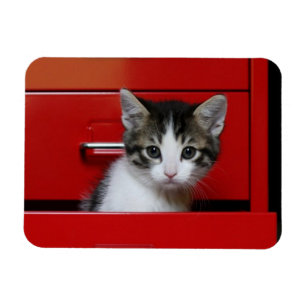 Magnet Flexible Jeter un coup d'oeil de chaton