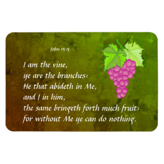 Magnet Flexible John 15:5