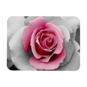 Magnet Flexible Joli aimant à motif de rose rose