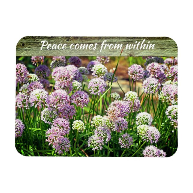 Magnet Flexible Joli violet Allium Jardin Fleurs Motivationnelles (Horizontal)