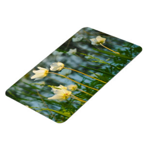 MAGNET FLEXIBLE JOLIE FLORALE