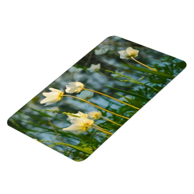 MAGNET FLEXIBLE JOLIE FLORALE (Côté Gauche)