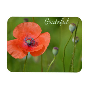 Magnet Flexible Jolie Gratitude Red Poppy