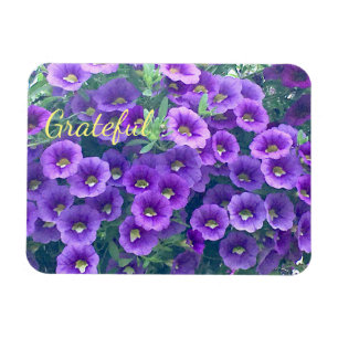 Magnet Flexible Jolie Grratitude pourpre Petunia