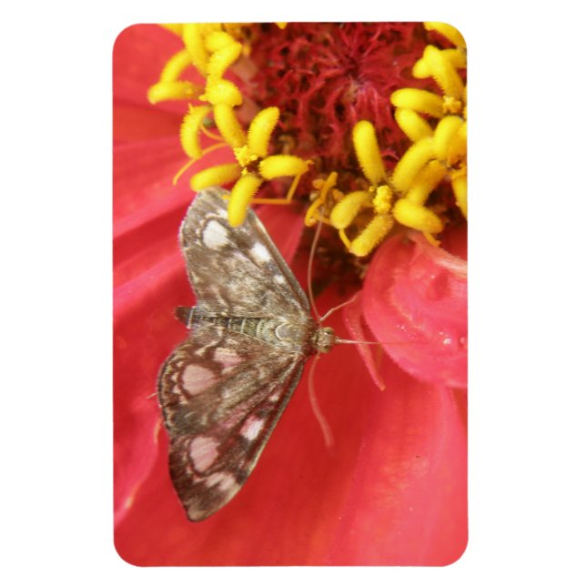 Magnet Flexible Jolie mousse sur aimant Premium Fleur Rouge (Vertical)