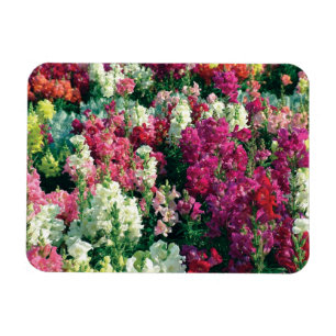 Magnet Flexible jolies fleurs colorées du jardin