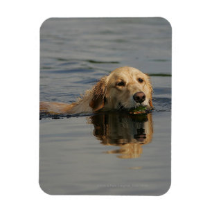 Magnet Flexible Jolis Retriever