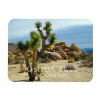 Joshua Tree, Boulders géants, Désert