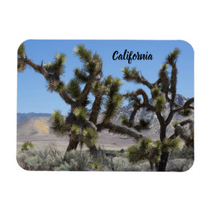 Magnet Flexible Joshua Tree en Californie