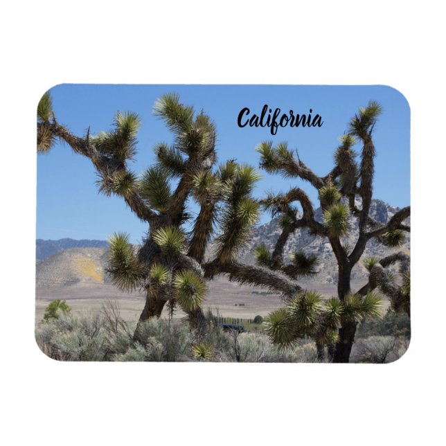 Magnet Flexible Joshua Tree en Californie (Horizontal)