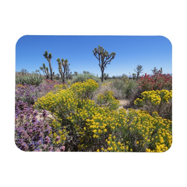 Magnet Flexible Joshua Tree National Park In Bloom (Horizontal)
