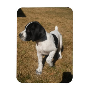 Magnet Flexible Joueur de pipeau pie